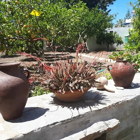 Margarita Apartment Parikia (Paros)