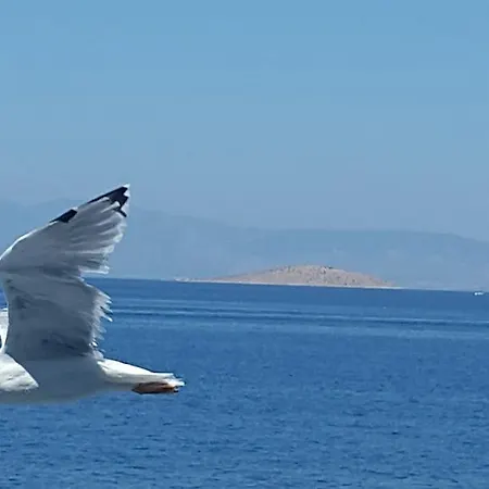 Apartment Margarita *