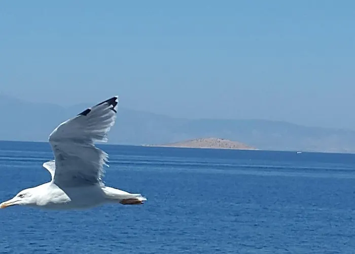 アパート Margarita *